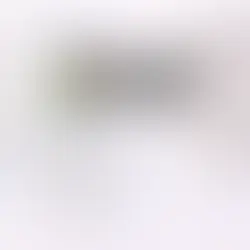 🟡 XAUUSD Daily Market Analysis - 4 February 2026