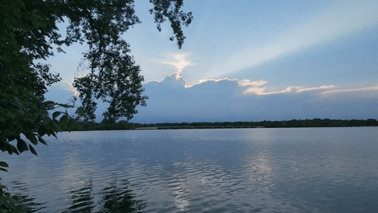 20260610_001353.gif