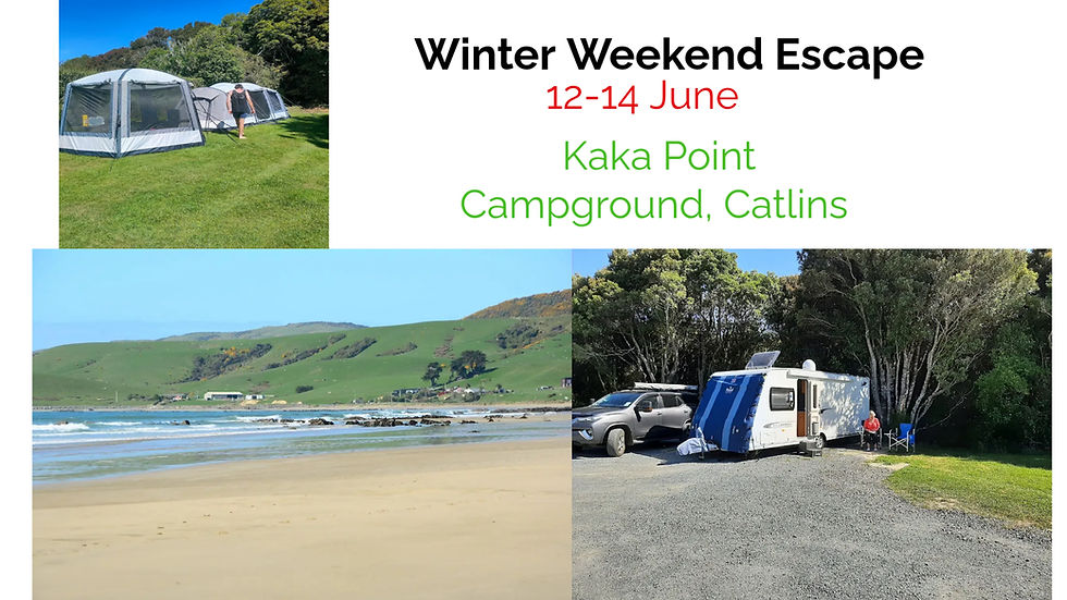 Winter Weekend Escape, Catlins