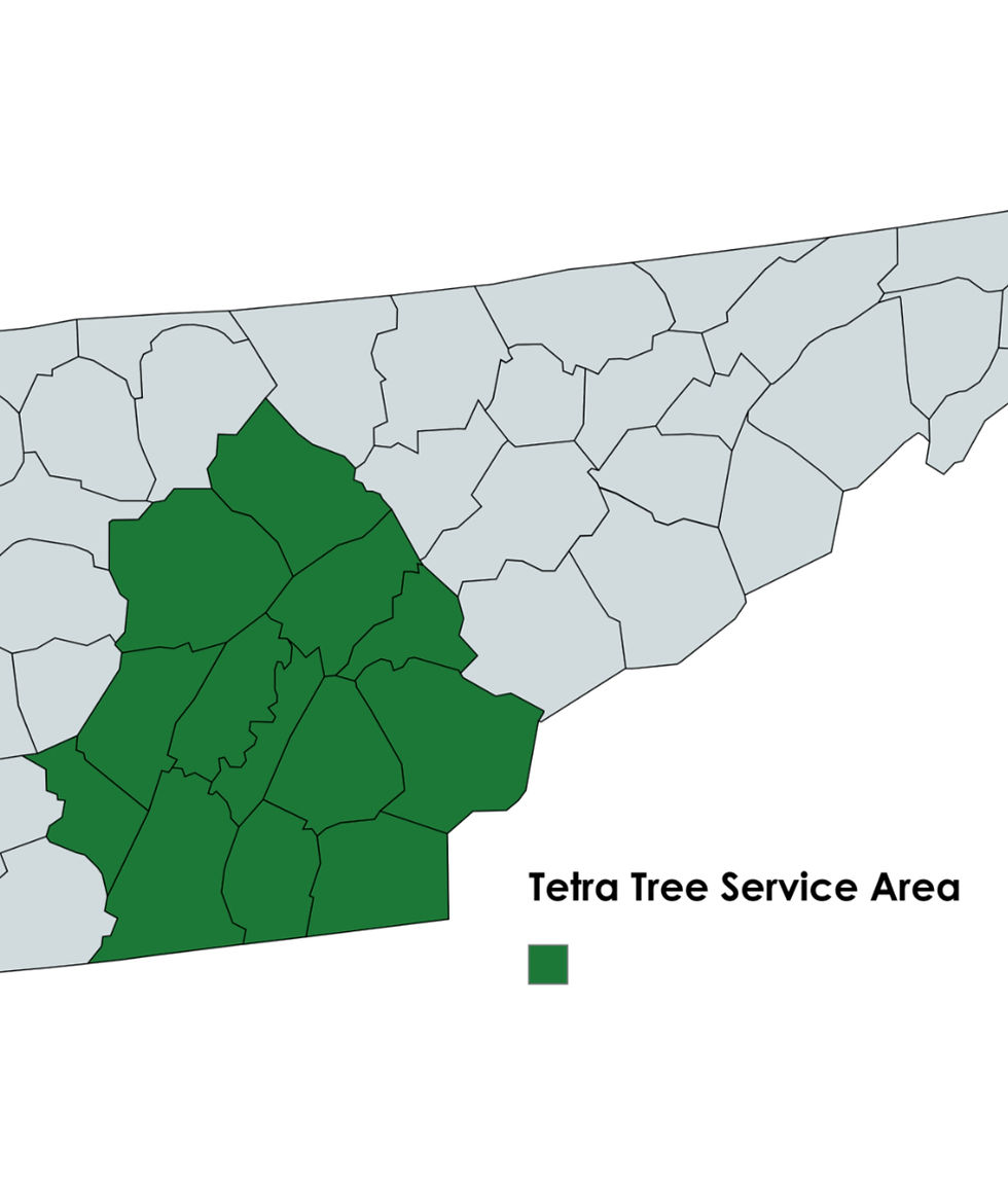Tetra_Tree_Service_Area_edited.jpg