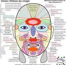 Réflexologie crânienne et facial
