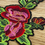Miniatura: FLOWER POWER