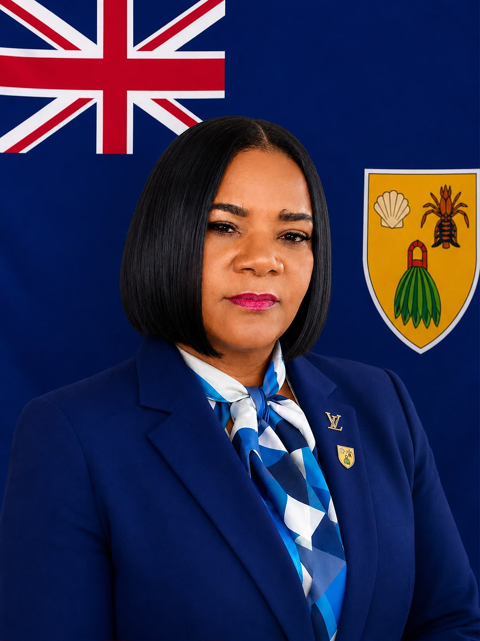 Opinion | Legalising a Piece of Land for Turks & Caicos Islanders Should Not Be Difficult - Hynetta Forbes