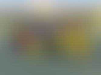 Dilakgi’s Devastating Spell Sets Up Dominant GK Foods Victory Over Kishco