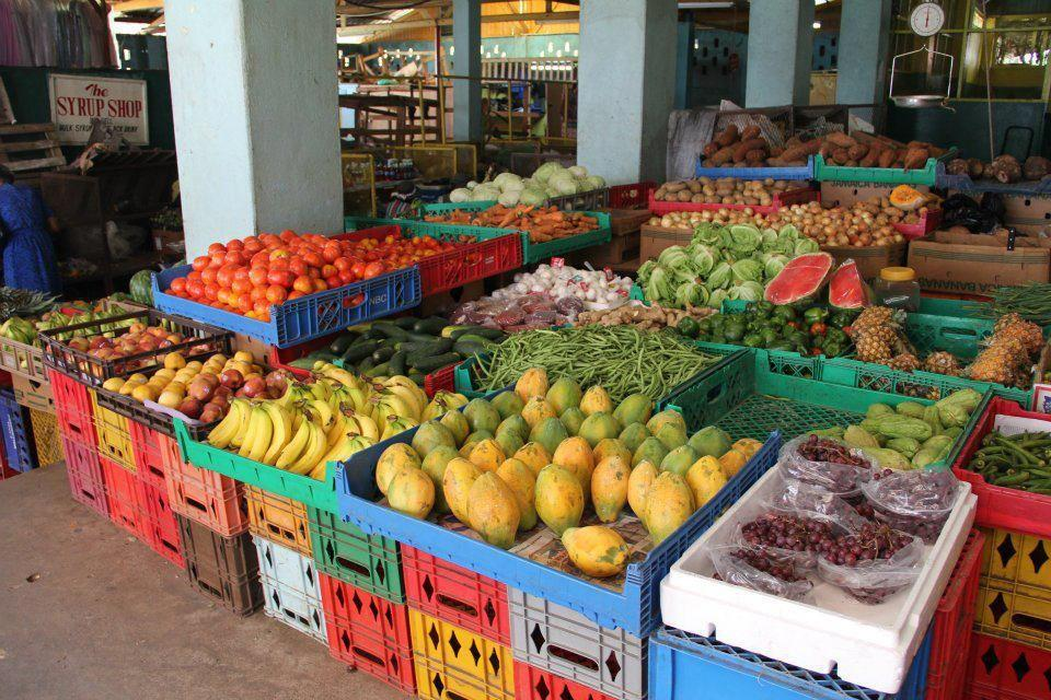 CARICOM Food Push Could Benefit Import-Dependent TCI