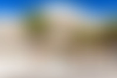 TCI’s Gold Standard for Public Service