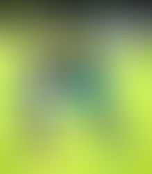 TCI Set to Host Exciting Women’s Football Festival December 11–14