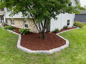 Kingscapes