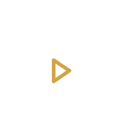 wired-outline-126-folder-play.gif