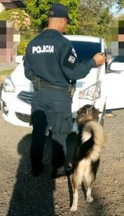 Rescatan a perro cuyos dueños tenían en pésimas condiciones | David