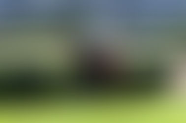 友威威 - 勝出「澳門馬主協會碟」