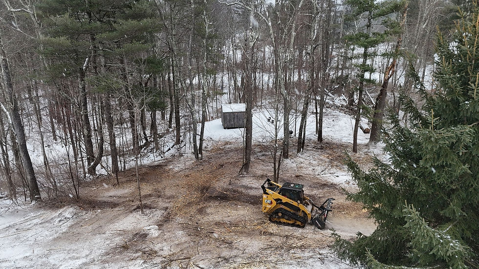 The Benefits of Forestry Mulching for Eco-Friendly Land Clearing in Southern VT and Upstate NY