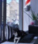 Jagger%20window_edited.jpg