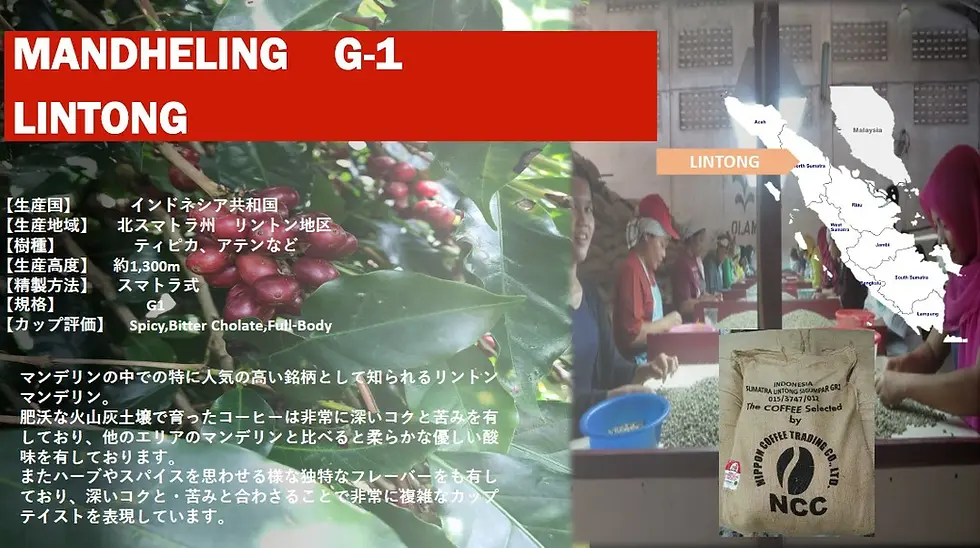 サムネイル： マンデリン G1 リントン 100ｇ