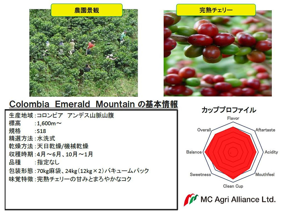 サムネイル： 1kg【500g×2袋】エメラルドマウンテン
