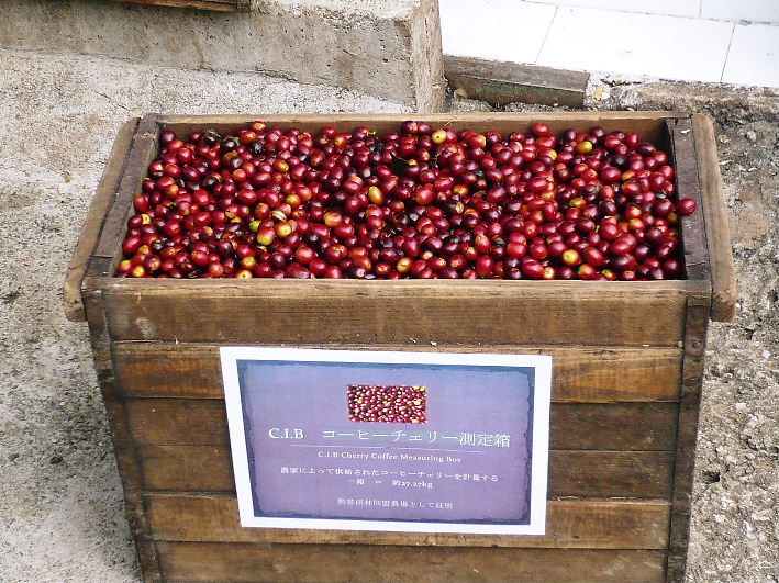 サムネイル： ブルーマウンテンNO．1コーヒー 100g