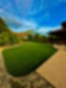 IMG_2194.jpeg