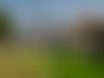 Artificial Turf Installation in Austin, TX – Everything You Need to Know
