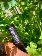 Engraved Slate Plant Markers | Set of 5 Herb Markers
