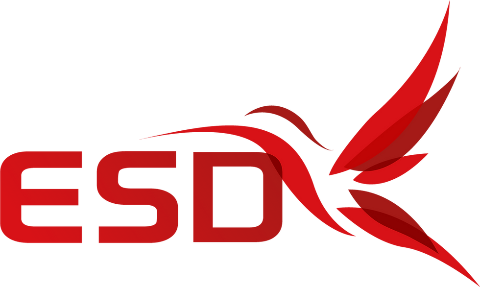 ESD-MEDIKAL LOGO.png