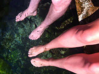 CENOTE CRISTALINO