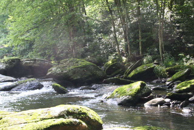 Stream