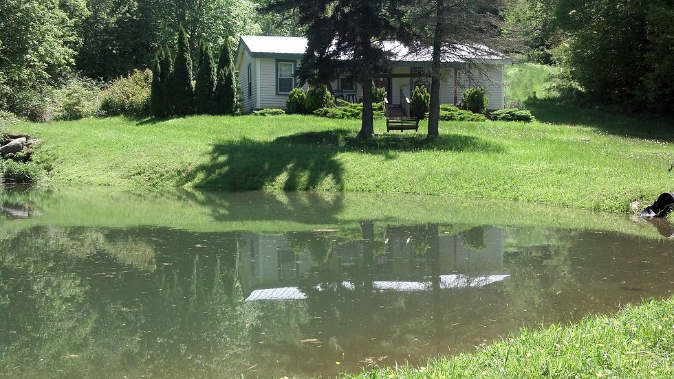 Ramsey House with Pond