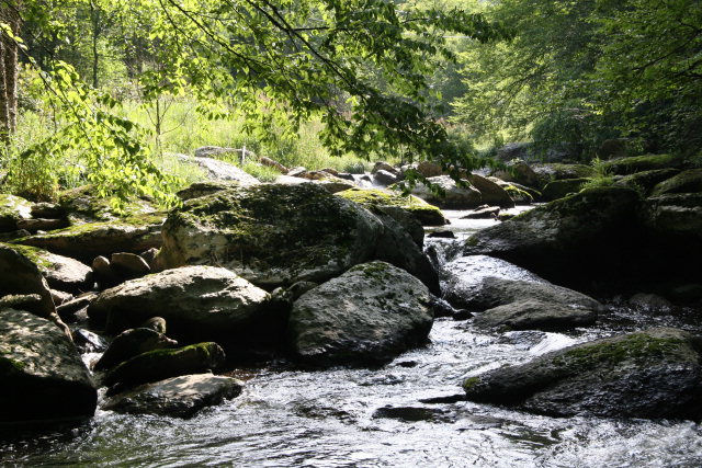 Stream