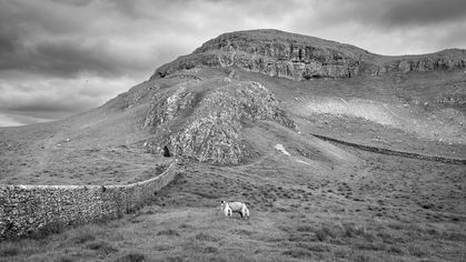 Dales High Way above Settle in the Yorkshire Dales, route to Attermire and Victoria Caves