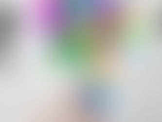 My Amazing Experience Attending NHLC