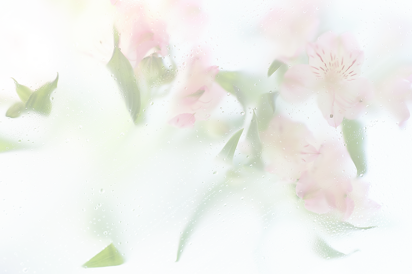 spring background.jpeg