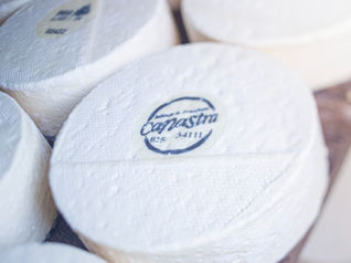 Último fórum do projeto sobre o Queijo Minas Artesanal será na Canastra e reunirá a cadeia produtiva em São Roque de Minas