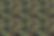 CAMO.jpg