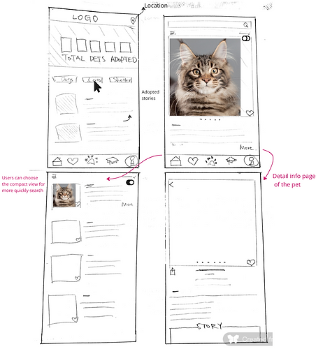 The homepage and the user flow