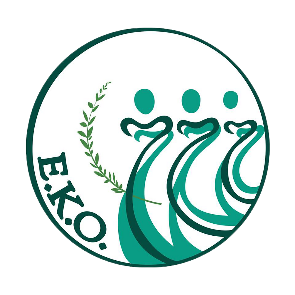 EKO logo transparent.png