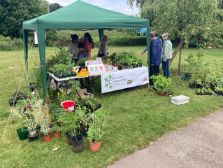 Farncombe Community Garden plant sale