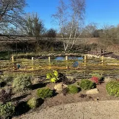 Pond2.jpg