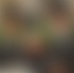 Rama & Berisha: Hapni kutitë ose largohuni! 