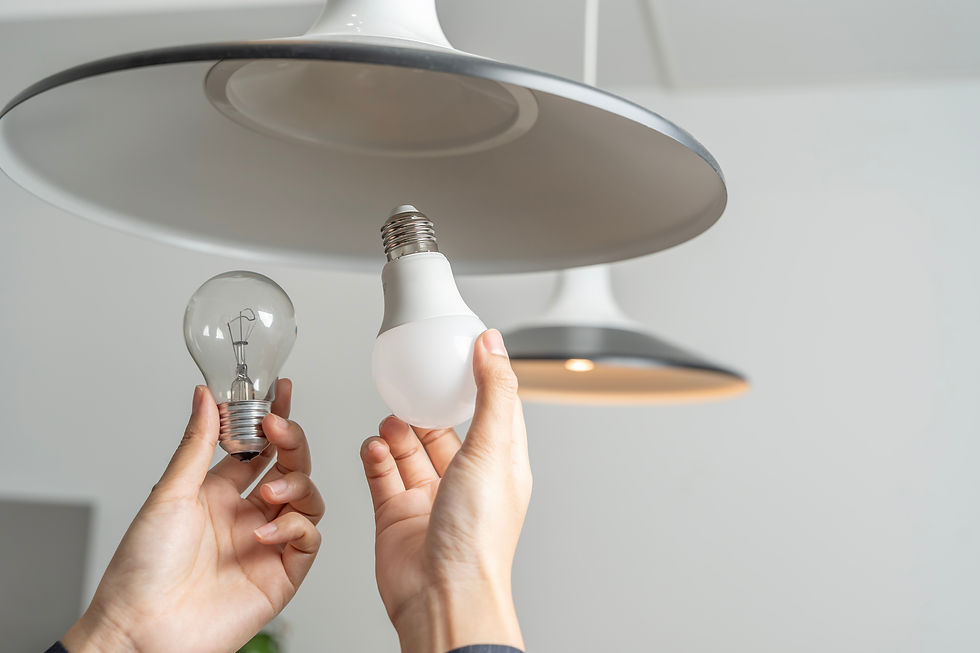 LED Light Bulbs Dominate in U.S. Homes