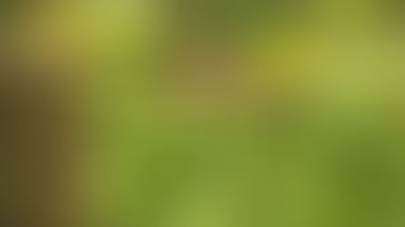 What is Ignatian Spiritual Direction?