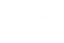 IMG_2575.PNG