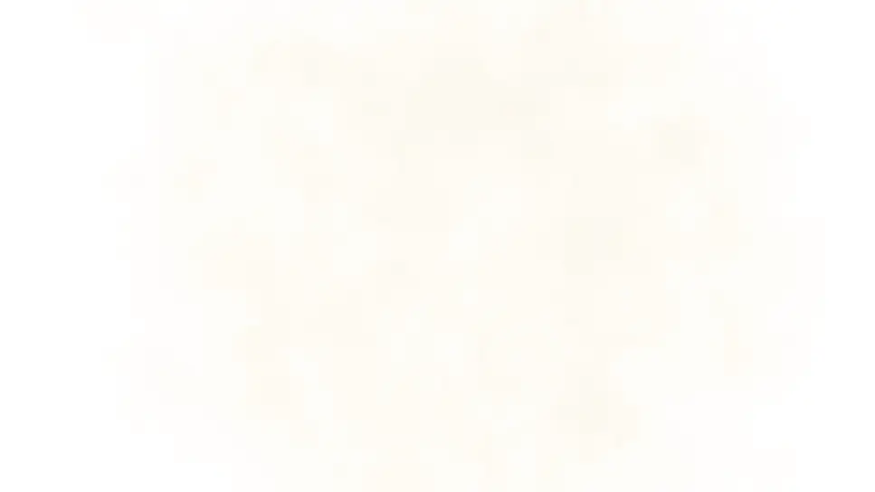 Wedding invotation video background.webp