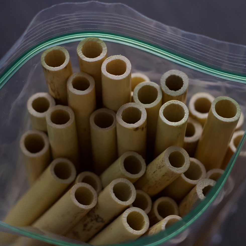 Cane Oboe Duck Reeds