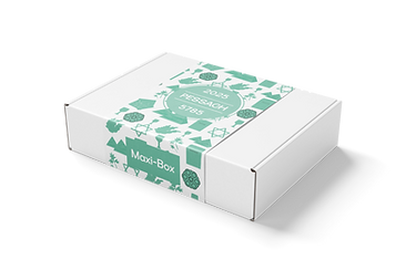 Maxibox - View 1.png