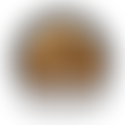 Toyota Rigs And Coffee 5/16/26