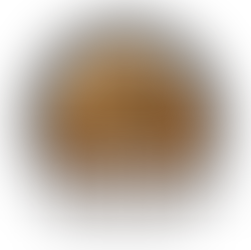 Toyota Rigs And Coffee 9/19/26