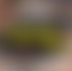 PHENOM RUN 3/27/2024 - East Jeep Safari - Trail Metal Masher