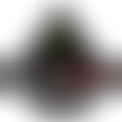 TRAIL HERO 9/28/26-10/03/26