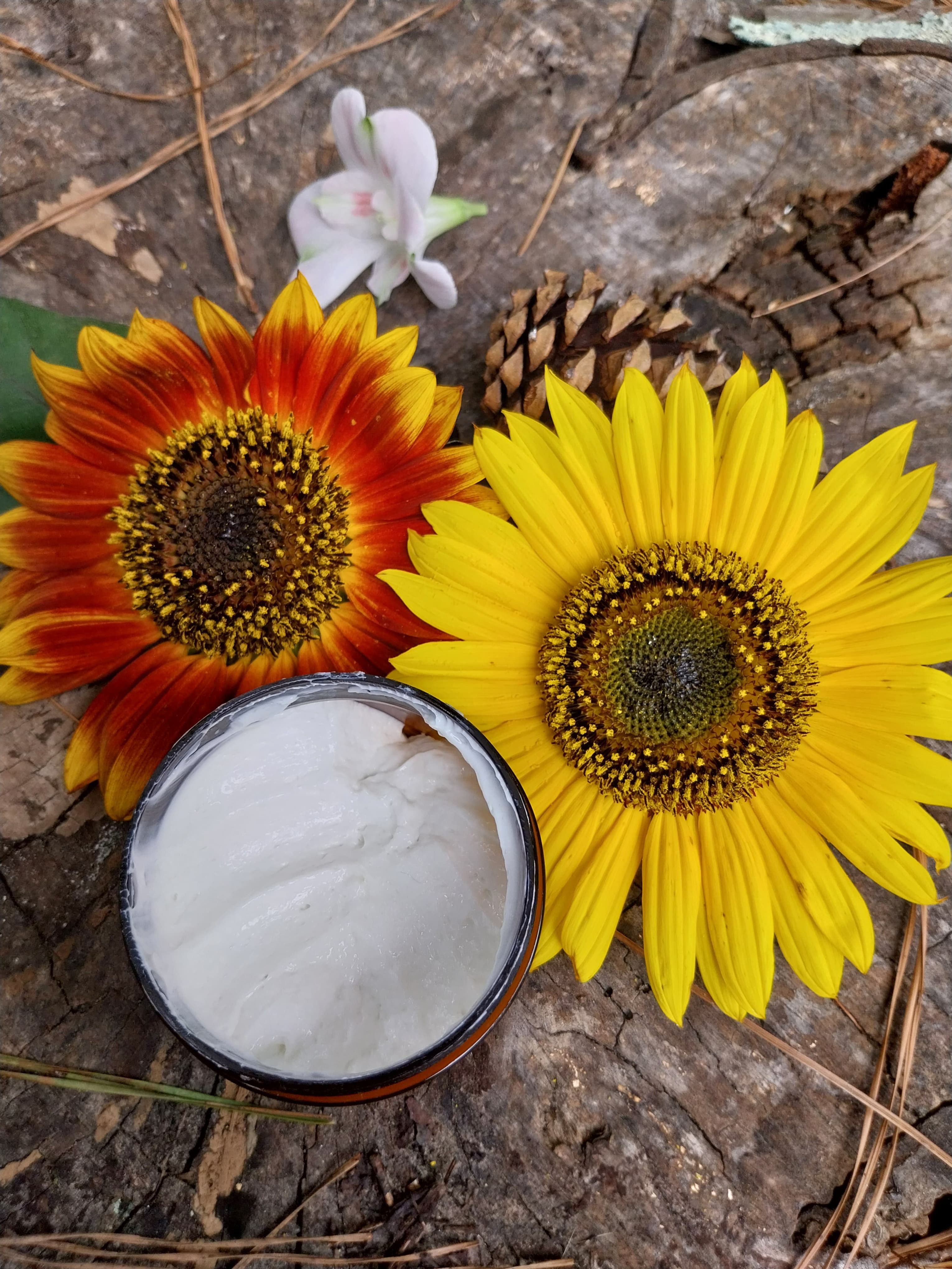 Fountain Of Youth (Crema Facial Antiedad)