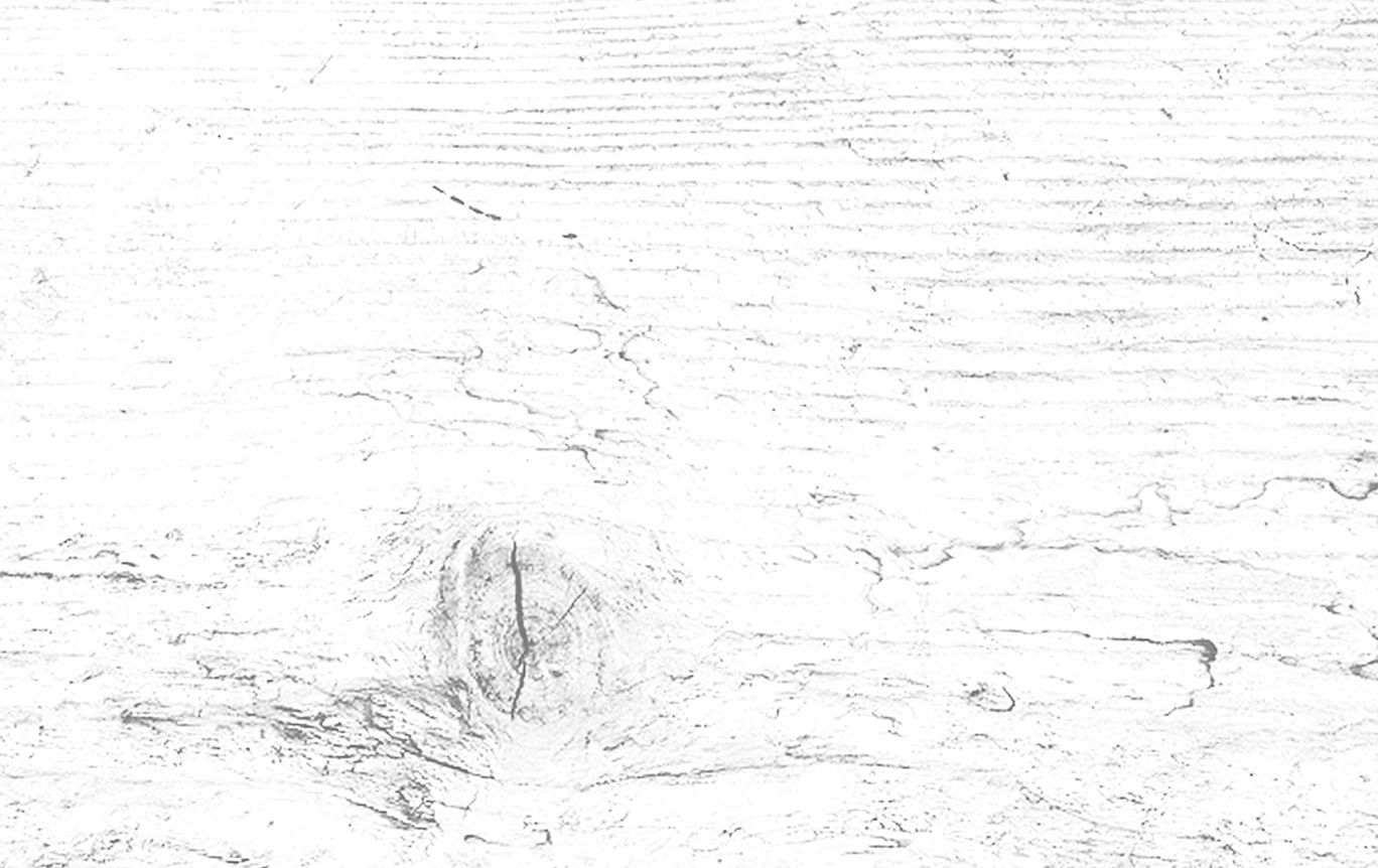 WoodTexture_edited.jpg